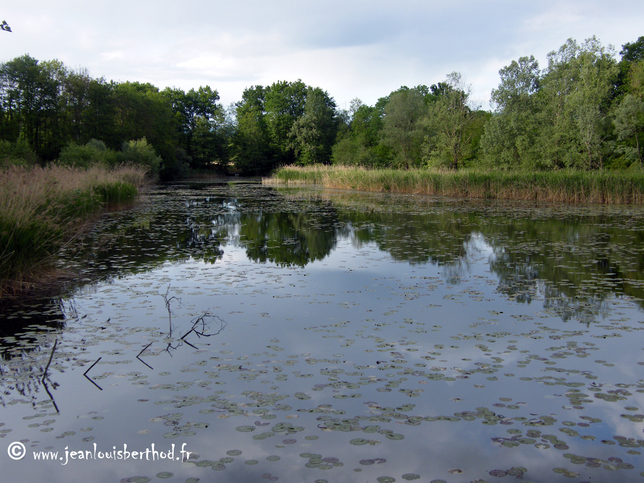 The Pond of Crosagny6